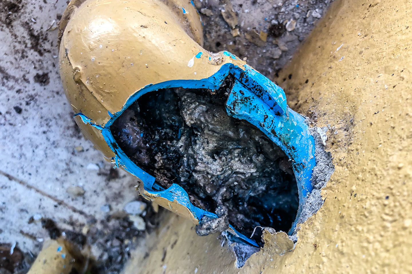 Clogged Sewer Pipe
